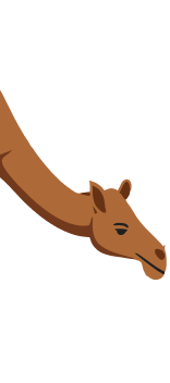 image of camel mouth